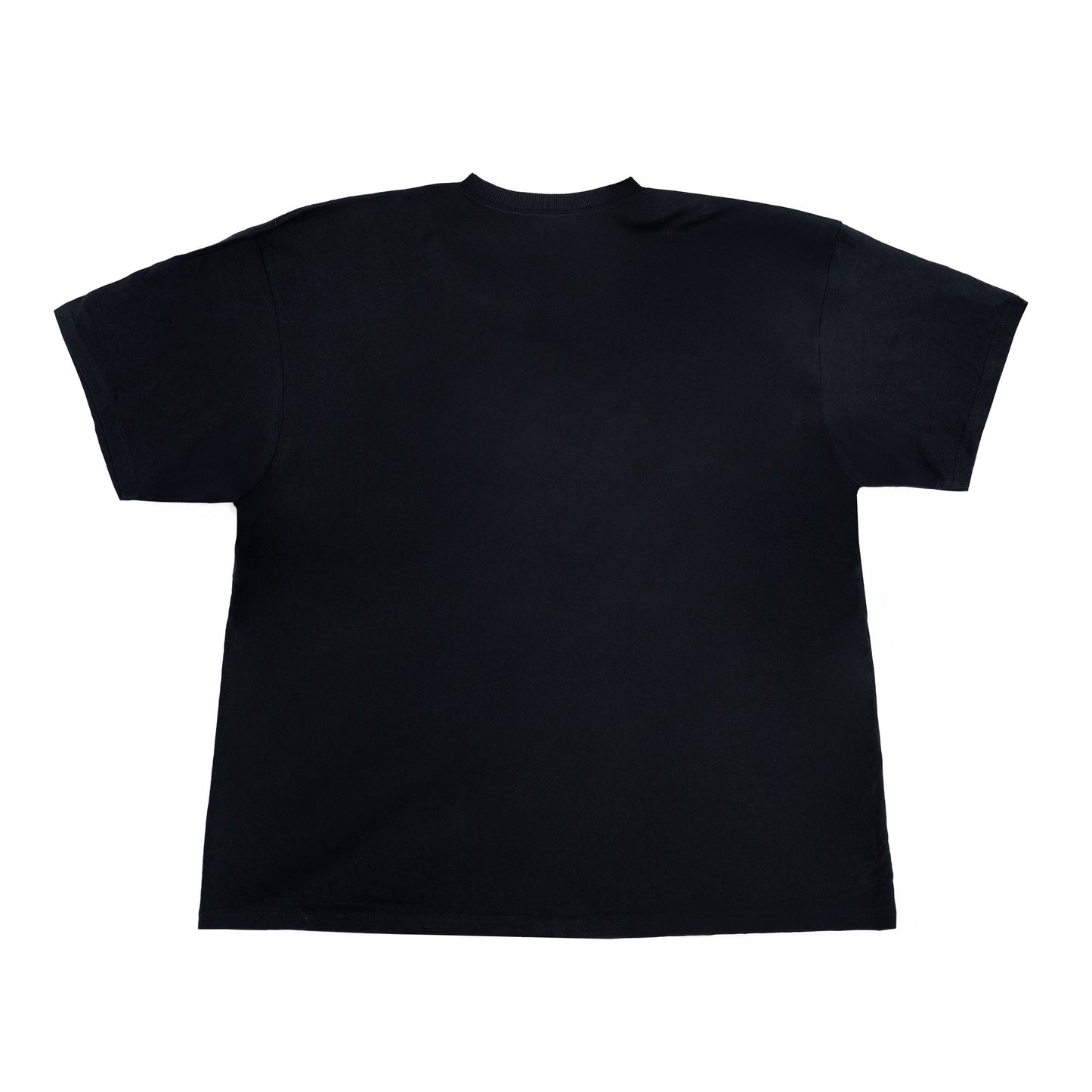 "QUEERS DO IT BETTER" T-SHIRT